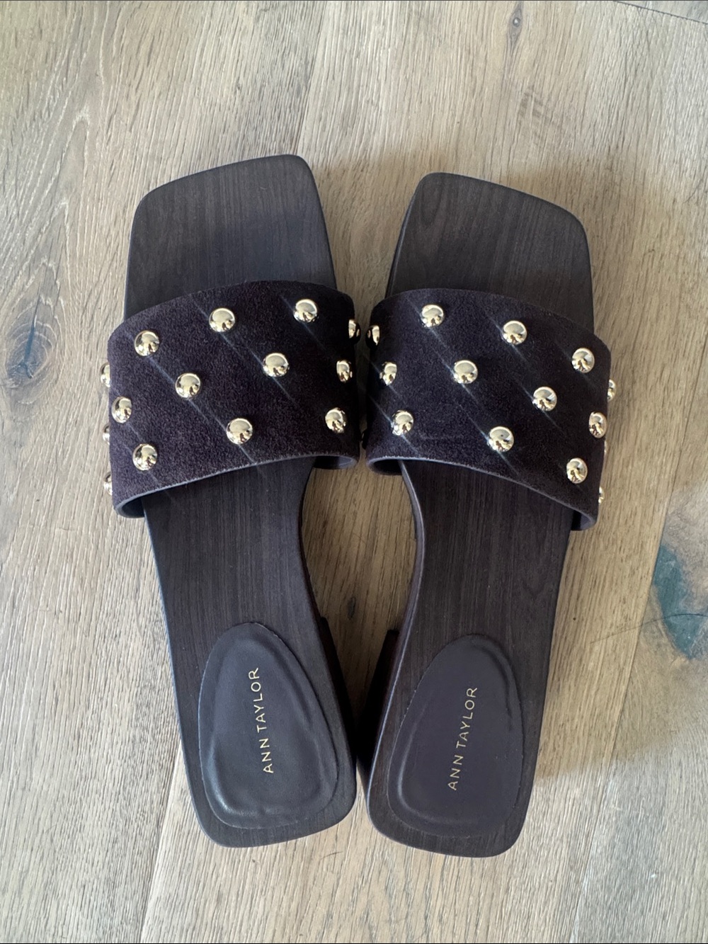 Ann Taylor Brown Suede Stud Slide Sandals
